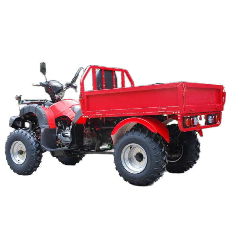 Hot sale Farm ATV 200CC 4 wheeler ATV multipurpose ATV with high quality